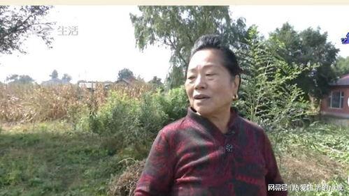 龙华李大爷最新爆料事件,揭开事件背后惊人真相 第3张 龙华李大爷最新爆料事件,揭开事件背后惊人真相 第3张